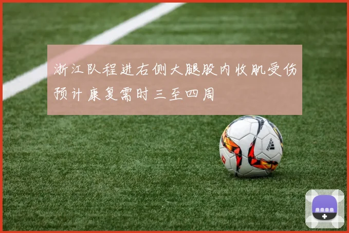 浙江队程进右侧大腿股内收肌受伤预计康复需时三至四周