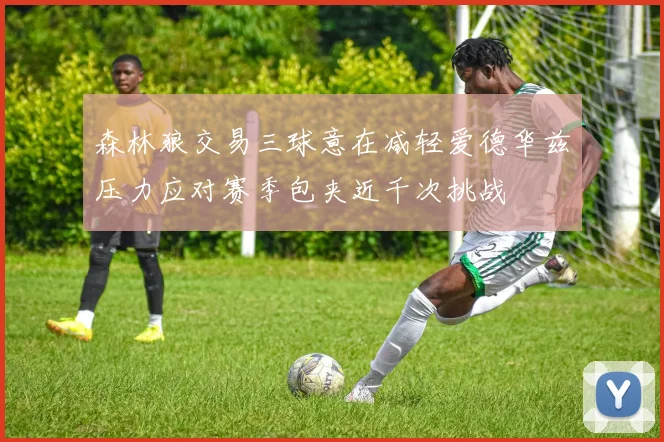 森林狼交易三球意在减轻爱德华兹压力应对赛季包夹近千次挑战